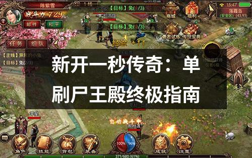 新开一秒传奇：单刷尸王殿终极指南