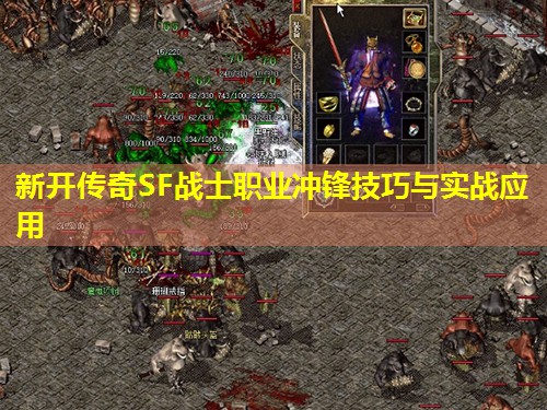 新开传奇SF战士职业冲锋技巧与实战应用